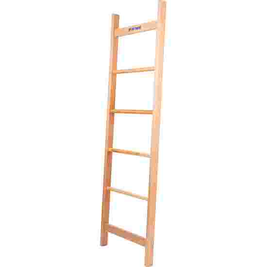 Acrobatics ladder