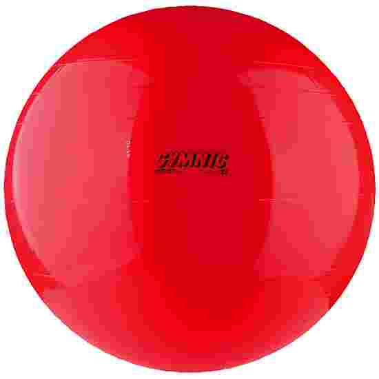 Gymnic Exercise Ball 55 cm in diameter