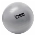 Togu "Powerball ABS" Gymnastics Ball 55 cm in diameter
