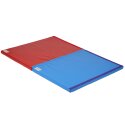 Reivo "Safe" Combi Gymnastics Mat Blue Polygrip, 150×100×6 cm