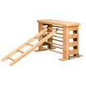 Sport-Thieme "Vario" Ladder 150x43.8 cm