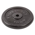 Sport-Thieme "Cast Iron" Weight Plates 15 kg