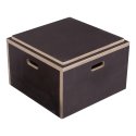 Sport-Thieme Combi Plyo Box 50x50x30 cm