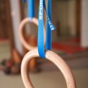 Sport-Thieme "Crosstraining" Indoor Gymnastics Rings Without storage bag