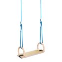 Sport-Thieme Ring Swing Set for Indoor Use With swing board