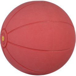  WV Medicine Ball