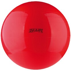 Gymnic Exercise Ball ø 65 cm