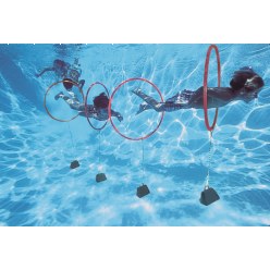 Sport-Thieme Diving Hoop Game