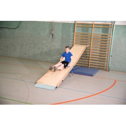  Sport-Thieme Slide Wall Bars Set 1 