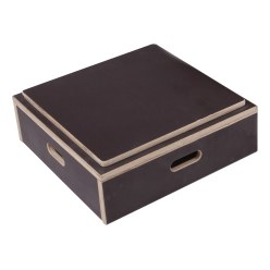  Sport-Thieme Combi Plyo Box