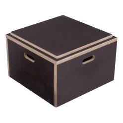  Sport-Thieme Combi Plyo Box