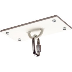  Sport-Thieme Ceiling Mount with D-Ring