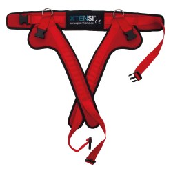 Harness for XTENSi Bungee Swing